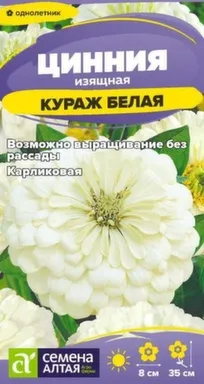 Купить Цветы Цинния Кураж Белая карликовая 0,2 гр, Семена Алтая в интернет-магазине Akvilon.kz
