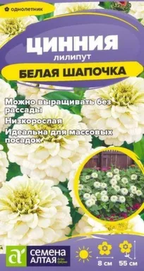Купить Цветы Цинния лилипут Белая Шапочка 0,2 гр, Семена Алтая в интернет-магазине Akvilon.kz