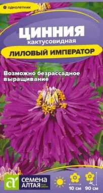 Купить Цветы Цинния Лиловый Император кактусовидная 0,2 гр, Семена Алтая в интернет-магазине Akvilon.kz