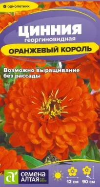 Купить Цветы Цинния Оранжевый Король 0,2 гр, Семена Алтая в интернет-магазине Akvilon.kz