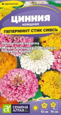 Купить Цветы Цинния Пеперминт Стик 0,2 гр, Семена Алтая в интернет-магазине Akvilon.kz