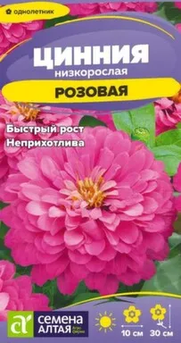 Купить Цветы Цинния Розовая низкорослая 0,2 гр, Семена Алтая в интернет-магазине Akvilon.kz