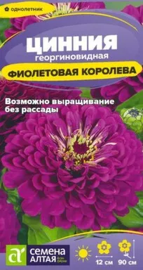Купить Цветы Цинния Фиолетовая Королева георгиноцветковая 0,2 гр, Семена Алтая в интернет-магазине Akvilon.kz