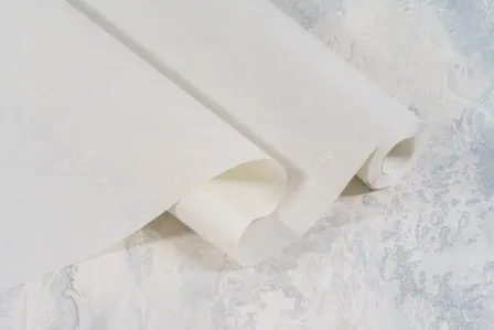 Купить Обои виниловые на флизелиновой основе Адажио, база, серый светлый, 1,06x10 м, Domingo в интернет-магазине Akvilon.kz