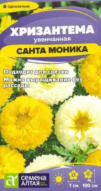 Купить Цветы Хризантема Санта Моника увенчанная 0,3 гр, Семена Алтая в интернет-магазине Akvilon.kz