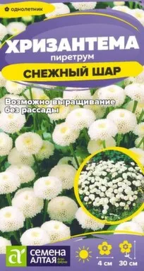 Купить Цветы Хризантема Снежный шар пиретрум 0,01 гр, Семена Алтая в интернет-магазине Akvilon.kz