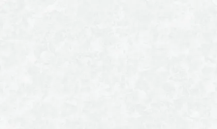 Купить Обои виниловые на флизелиновой основе 70002, база, светло-серый, 1,06x10,05 м, MaxDecor в интернет-магазине Akvilon.kz