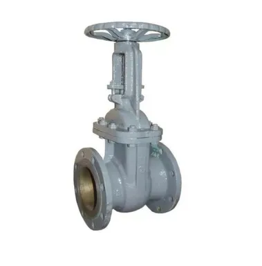 Купить Задвижка фланцевая сталь Ду50 Ру16 AVG в интернет-магазине Akvilon.kz