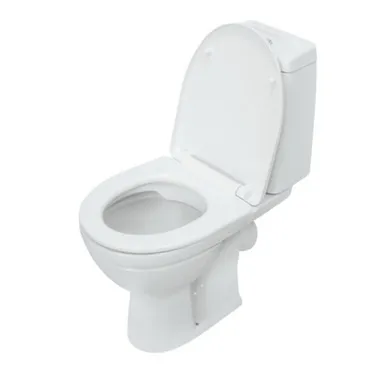 Купить Унитаз напольный безободковый МАРС(С), Sanita в интернет-магазине Akvilon.kz