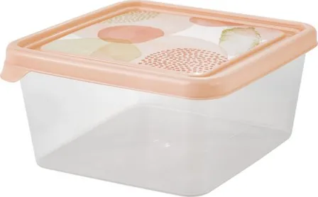 Купить Контейнер для продуктов Pastel 0,45 л квадратный, Plast Team в интернет-магазине Akvilon.kz