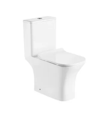 Купить Унитаз-Монолит SA-3078, Saniteco в интернет-магазине Akvilon.kz