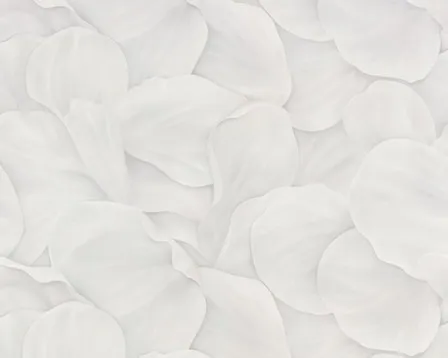 Купить Обои виниловые на флизелиновой основе Lepestok база, 1,06x10 м, Палитра в интернет-магазине Akvilon.kz