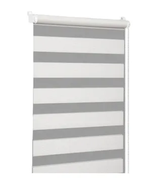 Купить Штора рулонная день-ночь БЭСТ 66(62)/160 белый, Delfa в интернет-магазине Akvilon.kz