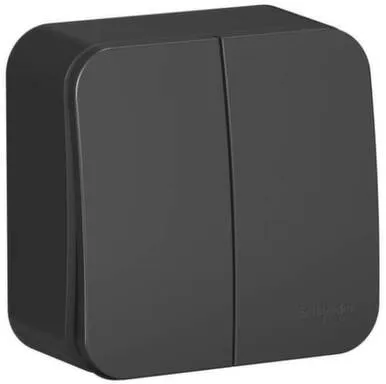 Купить Выключатель в сборе двухклавишный о/у 10А BLANCA антрацит Shneider Electric в интернет-магазине Akvilon.kz