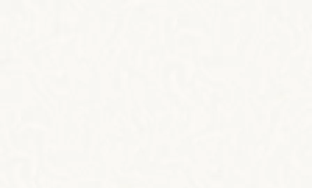 Купить Обои виниловые на флизелиновой основе TH8022, 1,06x10 м, Perfetto в интернет-магазине Akvilon.kz