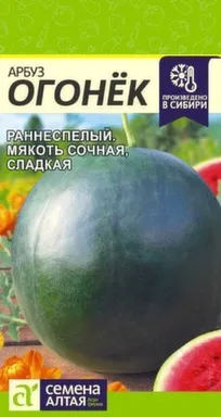 Купить Арбуз Огонек цп 1 гр, Семена Алтая в интернет-магазине Akvilon.kz