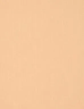 Купить Штора рулонная ЛЕН 72(68)/160 абрикосовый, Delfa в интернет-магазине Akvilon.kz