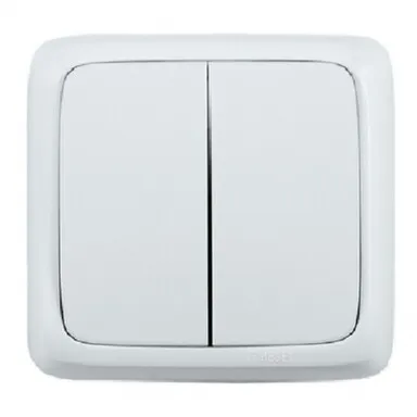 Выключатель 2-клавишный 10А Заря в интернет-магазине Akvilon.kz