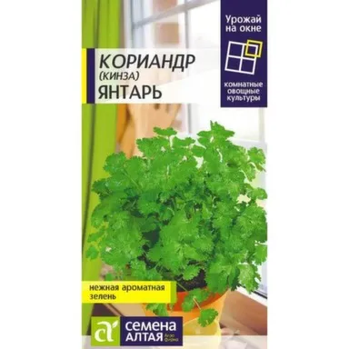 Купить Зелень Кориандр Янтарь, Семена Алтая в интернет-магазине Akvilon.kz