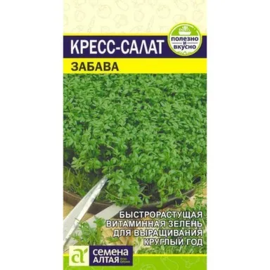 Купить Зелень Кресс-Салат Забава, Семена Алтая в интернет-магазине Akvilon.kz