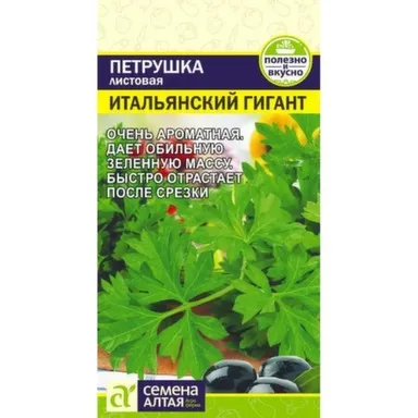 Купить Зелень Петрушка Листовая Итальянский Гигант, Семена Алтая в интернет-магазине Akvilon.kz