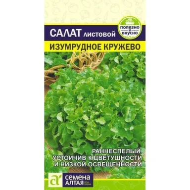 Купить Зелень Салат Изумрудное Кружево, Семена Алтая в интернет-магазине Akvilon.kz