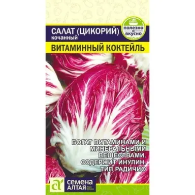 Купить Зелень Салат Цикорий Витаминный Коктейль, Семена Алтая в интернет-магазине Akvilon.kz
