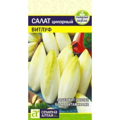 Купить Зелень Салат Цикорий Витлуф, Семена Алтая в интернет-магазине Akvilon.kz