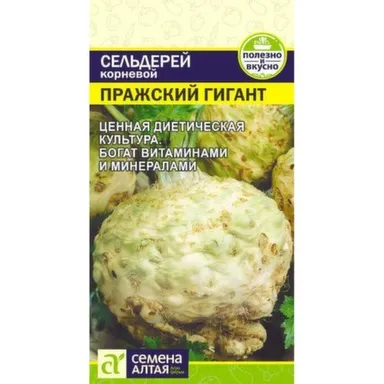 Купить Зелень Сельдерей Корневой Пражский Гигант, Семена Алтая в интернет-магазине Akvilon.kz Купить Зелень Сельдерей Корневой Пражский Гигант, Семена Алтая в интернет-магазине Akvilon.kz