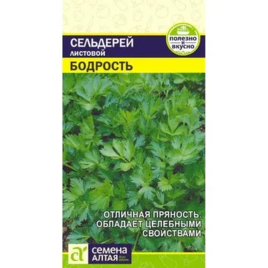 Купить Зелень Сельдерей Листовой Бодрость, Семена Алтая в интернет-магазине Akvilon.kz