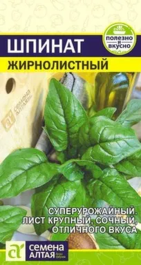 Купить Зелень Шпинат Жирнолистный, Семена Алтая в интернет-магазине Akvilon.kz