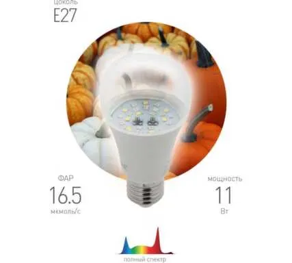 Купить Лампа светодиодная E27-A60-11-230 для растений, Эра в интернет-магазине Akvilon.kz