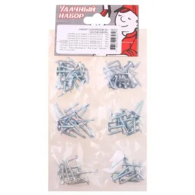 Купить Набор саморезов № 1, белый цинк, 90 шт, Стройбат в интернет-магазине Akvilon.kz