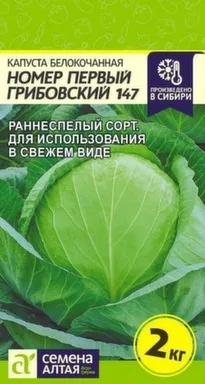 Купить Капуста Номер первый Грибовский, Семена Алтая в интернет-магазине Akvilon.kz