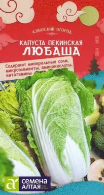 Купить Капуста Подарок, Семена Алтая в интернет-магазине Akvilon.kz