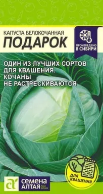 Купить Капуста Подарок, Семена Алтая в интернет-магазине Akvilon.kz