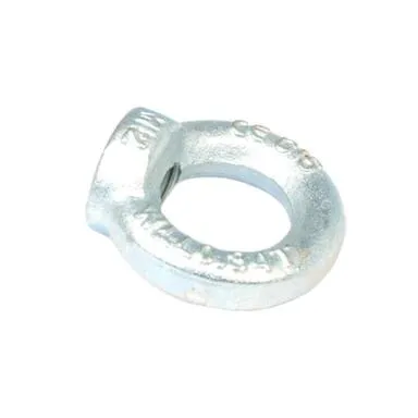 Купить Рым-гайка DIN 582 16мм (белый цинк 1 шт) в интернет-магазине Akvilon.kz