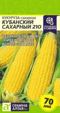 Купить Кукуруза Кубанский Сахарный, Семена Алтая в интернет-магазине Akvilon.kz