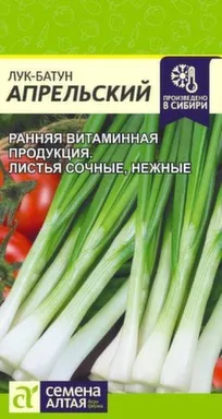 Купить Лук Батун Апрельский, Семена Алтая в интернет-магазине Akvilon.kz