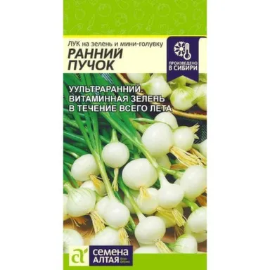 Купить Лук на зелень и мини-головку Ранний Пучок, Семена Алтая в интернет-магазине Akvilon.kz