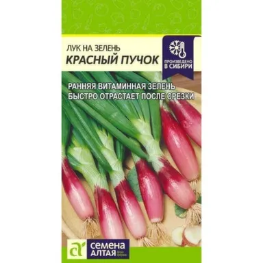 Купить Лук на Зелень Красный Пучок, Семена Алтая в интернет-магазине Akvilon.kz