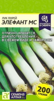 Купить Лук Порей Элефант МС, Семена Алтая в интернет-магазине Akvilon.kz