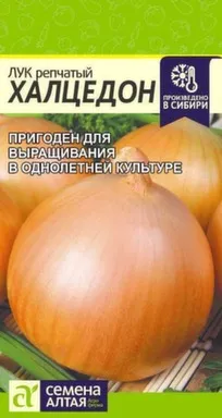 Купить Лук Халцедон, Семена Алтая в интернет-магазине Akvilon.kz