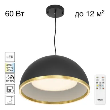 Светильник подвес LED FLOOM черный/золото в интернет-магазине Akvilon.kz