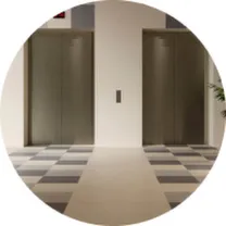 Сенат Сенат