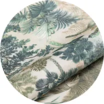 Оазис Оазис